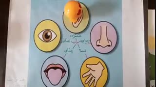 ویدئوی مرور حواس پنجگانه اول ۳.ارائه شده توسط خانم موسوی آموزگار باغچه بان ۲ برازجان