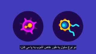 توضیح کروناویروس و اینکه چکار باید کرد