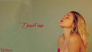 Lolo Zouaï - Desert Rose (Lyrics)