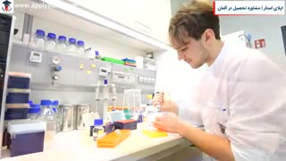 اپلای استار | دانشگاه ینا آلمان