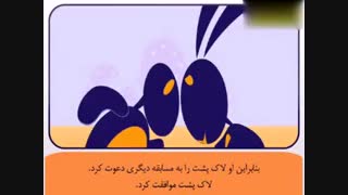 نتیجه مسابقه دو بین لاک پشت و خرگوش | چه کسی برنده شد؟ | فواید کار تیمی
