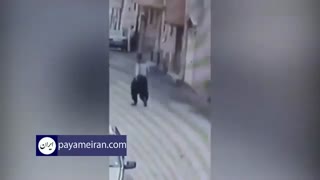 ویدئویی جدید از فرار زندانیان در سقز کردستان