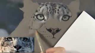 ✅ آموزش نقاشی پلنگ کوهستان برفی با مدادرنگی