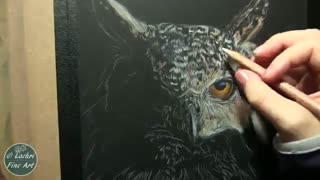 ✅ آموزش نقاشی رئال جغد شاخدار با مدادرنگی