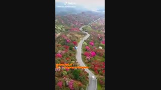 دلبر کلینیک پوست