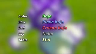 016 / 5 New Words (Part 3) - Croatian101Lesson