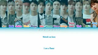 SEVENTEEN - Fallin Flower (Color Coded Lyrics ENG|ROM)