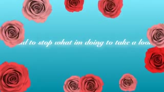 Sexy fish lyrics!!XD