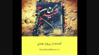 دانلود اهنگ ای سرزمین خوبان ازجان گذشتن آسان همای