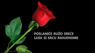 Hikmet Hadžiabdić - U Medinu pošao bih