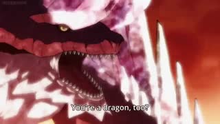 Fairy Tail Dragon Cry E.N.D vs Animus