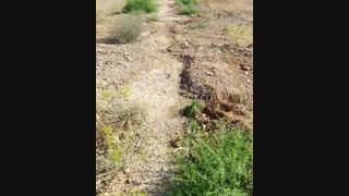 شهرک صنعتی بیلوردی