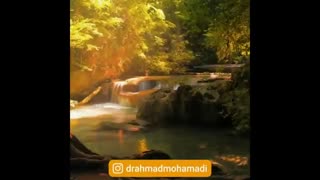 استاد احمد محمدی - زندگی جاریست