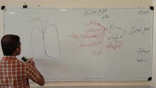 علوم هشتم - فصل 13