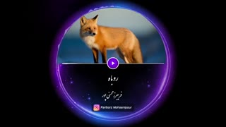 پادکست انگیزشی ( روباه) از فریبرز محسنی پور