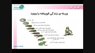 مدارس جوانه های مشهد خانم مزینانی تدریس علوم صفحات 95 تا 101 پایه سوم