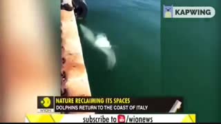 توصیه های مهم در خصوص ویروس کرونا