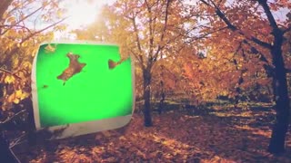 اسلاید پائیز و درختان پائیزی و قاب ها