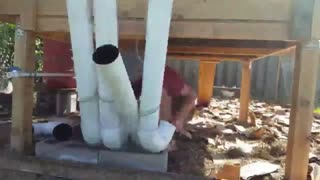 ساخت دانخوری