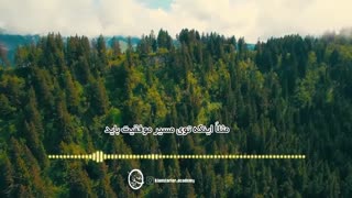 موفقیت به سبک بامبو| آموزش فروش | صابراسکندری(مربی فروش و‌ خودسازی)