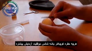 نتیجه پیوند اسپرم انسان و تخم مرغ!!! لقاح ژن انسان و مرغ !!!(متن زیر ویدئو رو حتما بخونید)