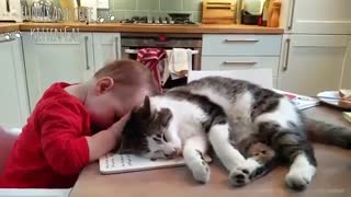 Baby and Cat Fun and Fails Cute Babies and Pets Compilation