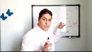 یه دونه نون یا یه دونه گندم یا هر دو!!!