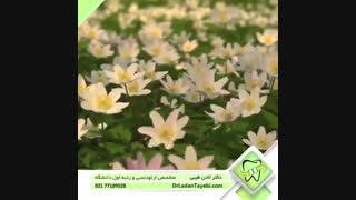 روز طبیعت مبارک | دکتر لادن طیبی