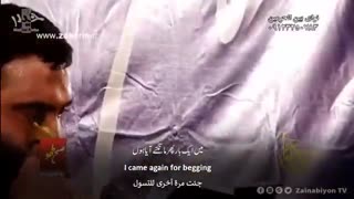 مثل کبوتر میون قفس (مداحی امام زمان) جواد مقدم | مترجم | English Urdu Subtitles