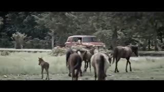 Kargadan Series - Episode 9 | سریال کرگدن - قسمت نهم