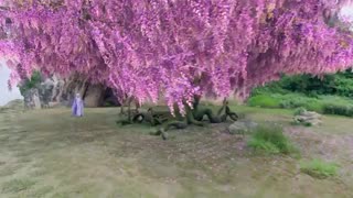 سریال چینی رویای عشق ابدی Eternal Love of Dream با زیرنویس فارسی