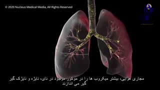 پیشگیری از کرونا ویروس