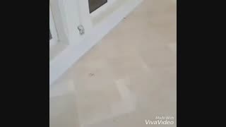 طراحی و اجرای آبنما و آبشار باسنگهای کوهی  بااستادکاران حرفه ای 09124026545