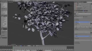 چگونه درختی واقعی در Blender3D بسازیم.